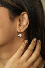 Load image into Gallery viewer, Classic Lab Grown Diamond Oval Earrings