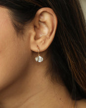 Load image into Gallery viewer, Classic Lab Grown Diamond Oval Earrings