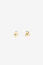 Load image into Gallery viewer, Scattered Pearl Hoop Charms
