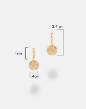 Load image into Gallery viewer, Cirque Hoop Earrings