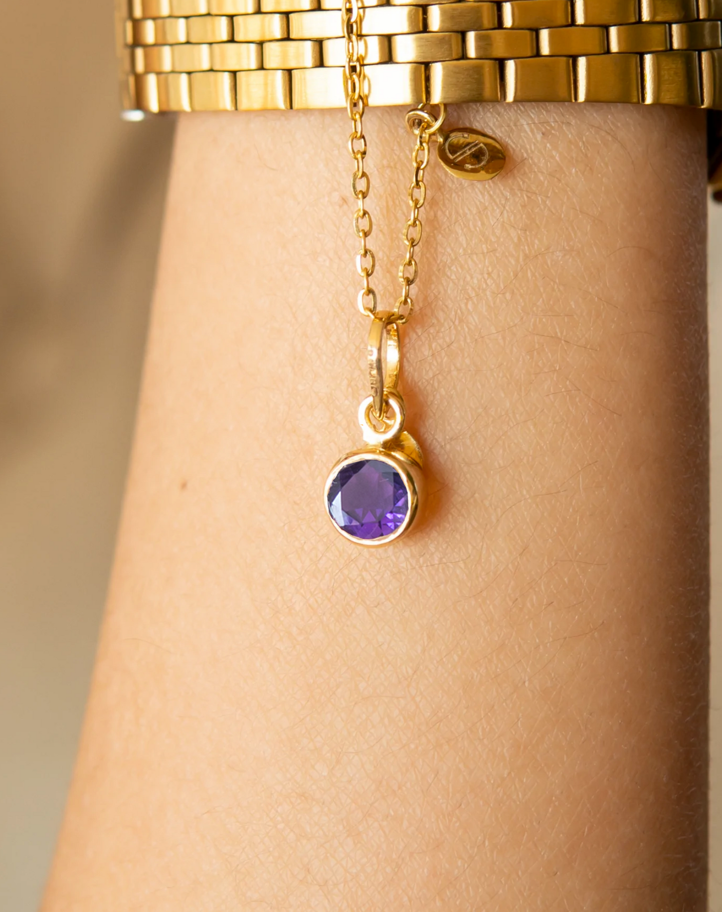 Amethyst Birthstone (Aquarius) Watch Charm Set - Main Image