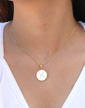 Load image into Gallery viewer, Pisces Enamel Zodiac Pendant